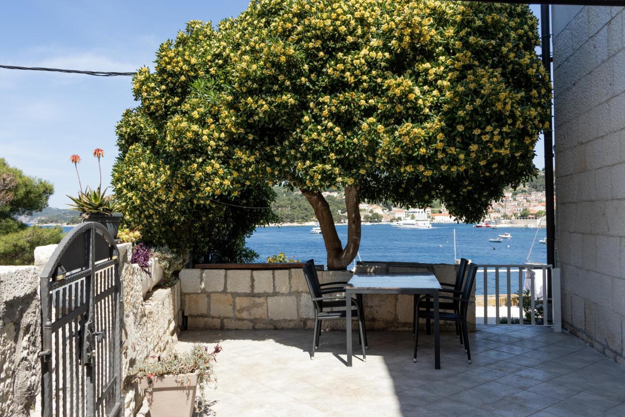 Apartman Radosic Hvar Town Exteriör bild