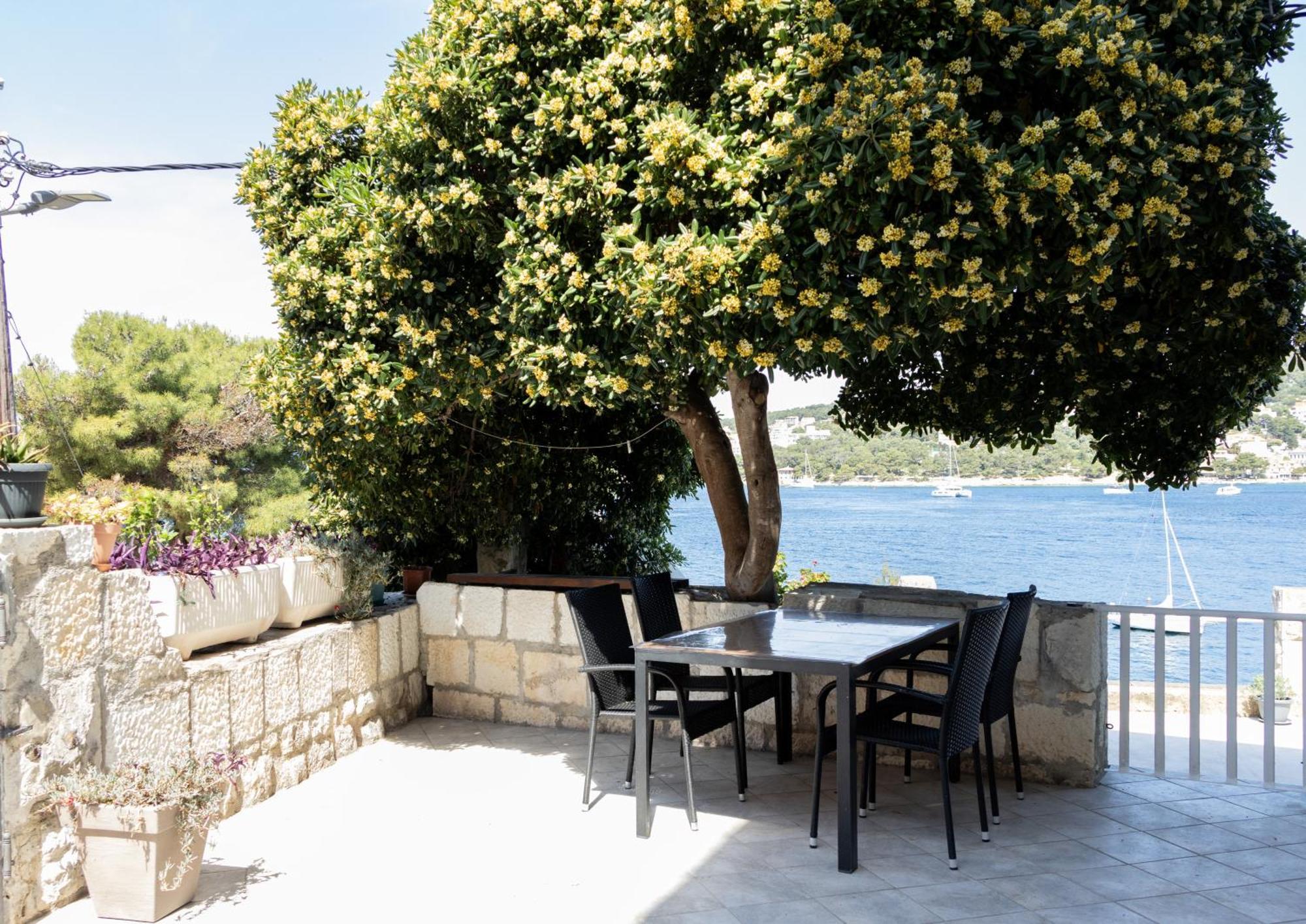 Apartman Radosic Hvar Town Exteriör bild