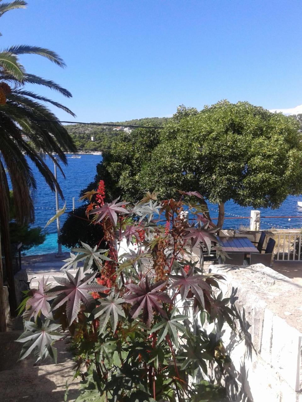 Apartman Radosic Hvar Town Exteriör bild