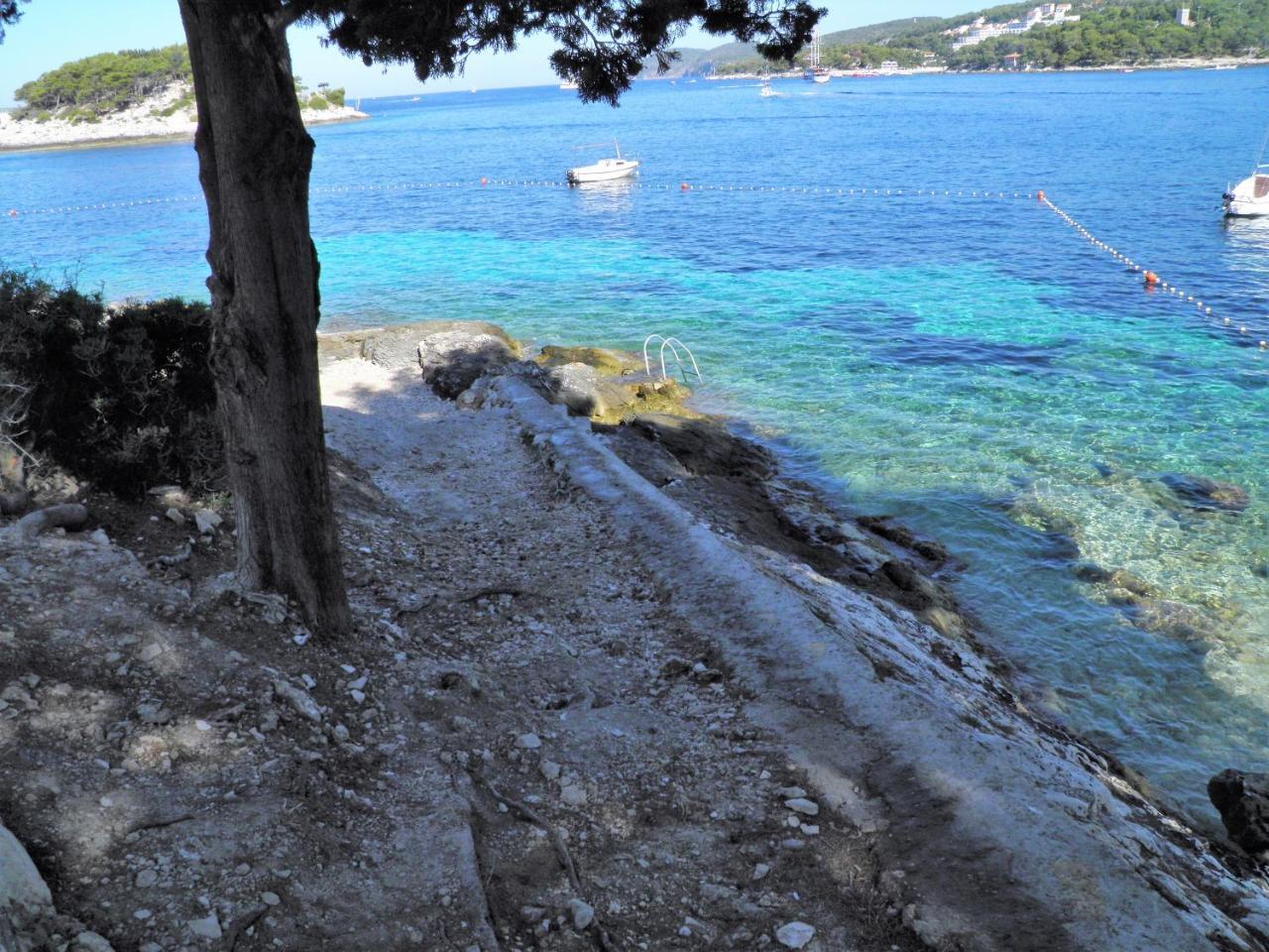 Apartman Radosic Hvar Town Exteriör bild